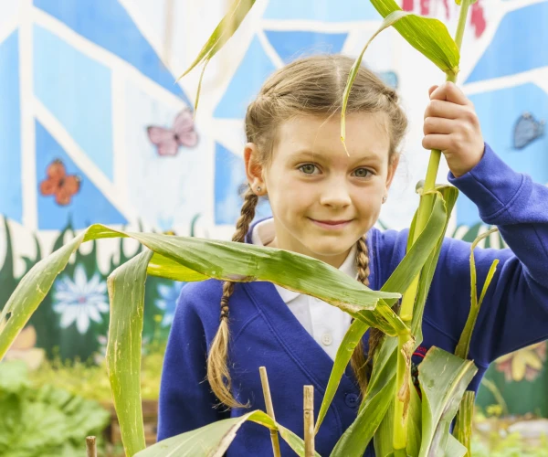 Whitkirk - Allotment - 2024 (3)